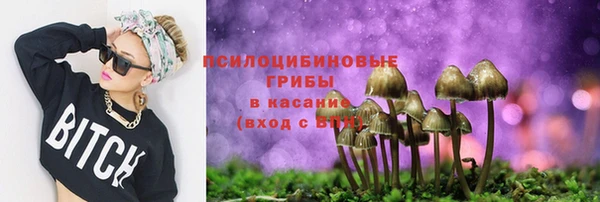 стаф Заволжье