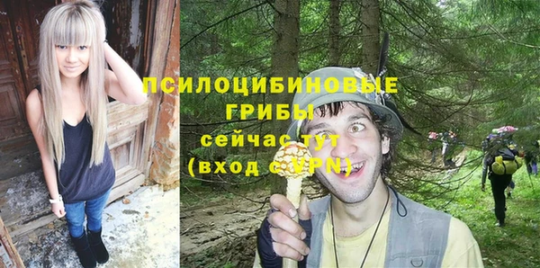 стафф Елизово
