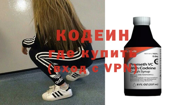 шишки Ельня