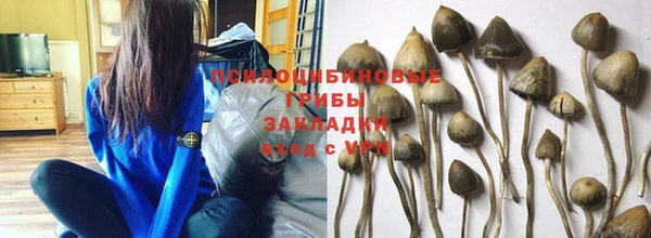 мяу мяу кристалл Зерноград