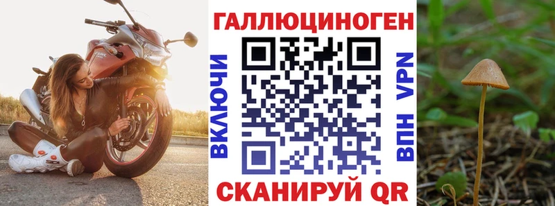 Псилоцибиновые грибы MAGIC MUSHROOMS  наркошоп  Луза 